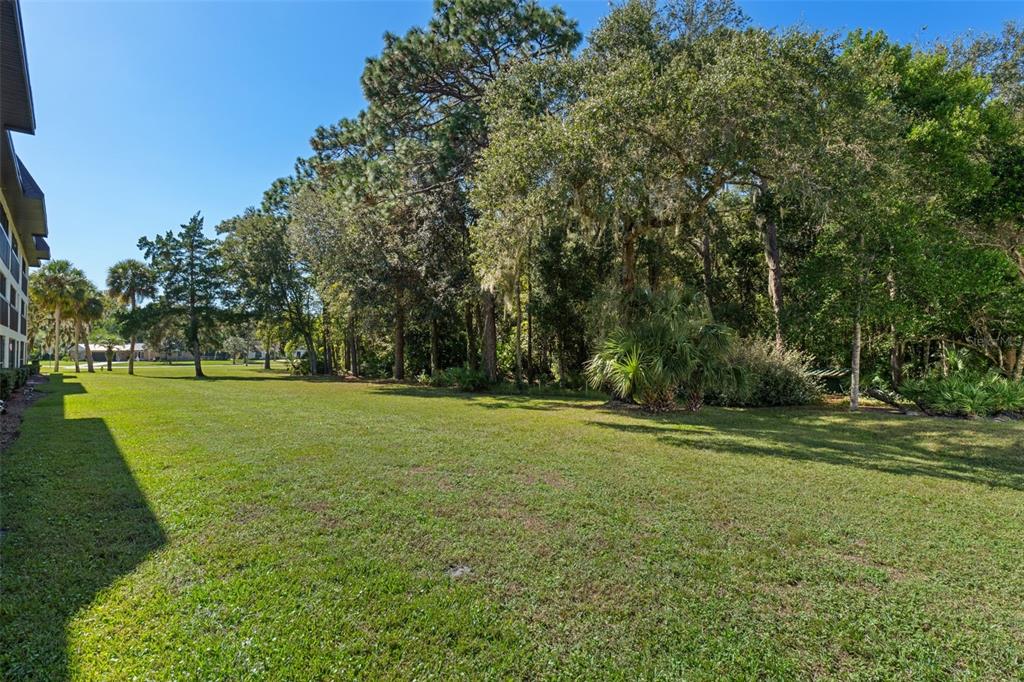 1 Cypress Run, Unit 14B Homosassa, FL 34446 - Photo 43 of 73 a view of a field with trees in the background