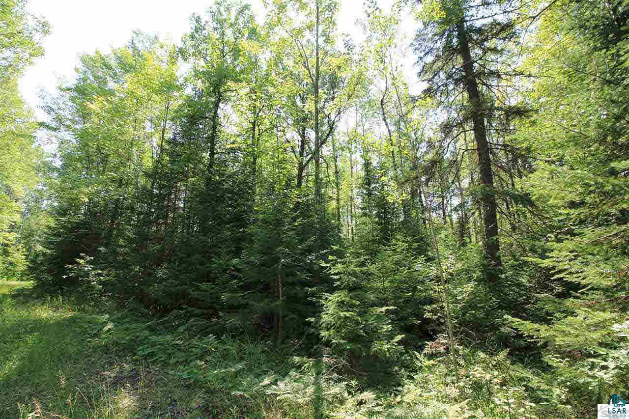 14-xxx East County Rd H Brule, WI 54820 - Photo 11 of 20 Gallery Image 11