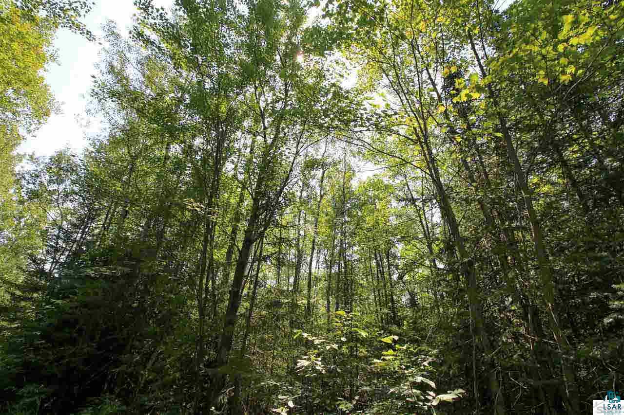 14-xxx East County Rd H Brule, WI 54820 - Photo 12 of 20 Gallery Image 12