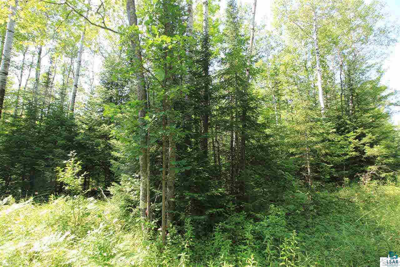 14-xxx East County Rd H Brule, WI 54820 - Photo 14 of 20 Gallery Image 14