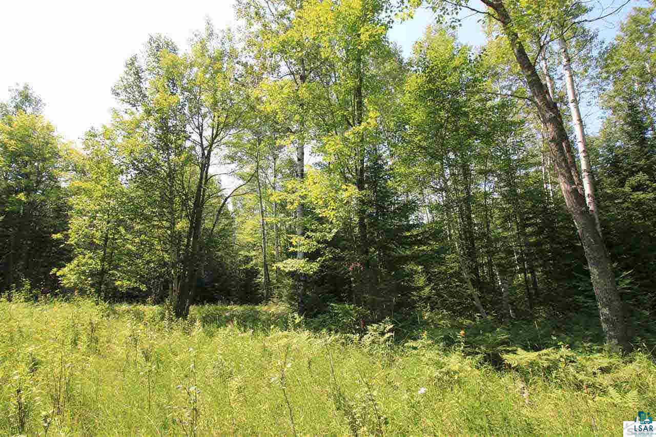 14-xxx East County Rd H Brule, WI 54820 - Photo 16 of 20 Gallery Image 16