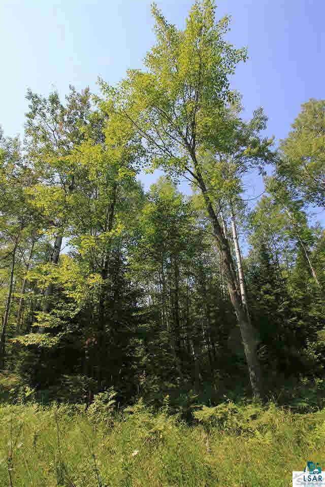 14-xxx East County Rd H Brule, WI 54820 - Photo 17 of 20 Gallery Image 17