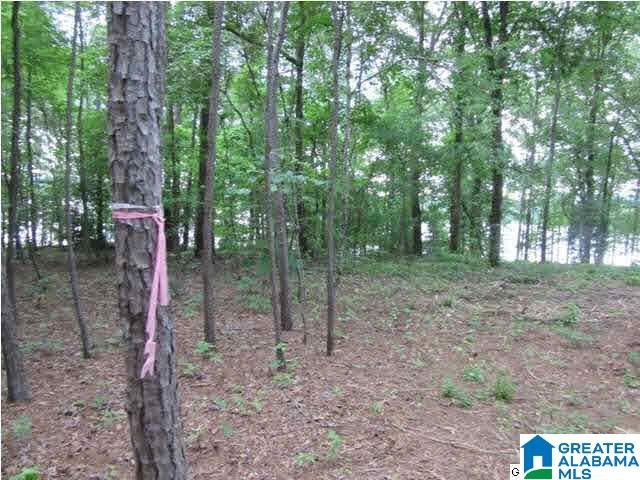 0 Timber Trail, Unit LOT 29 Sylacauga, AL 35151 - Photo 6 of 25