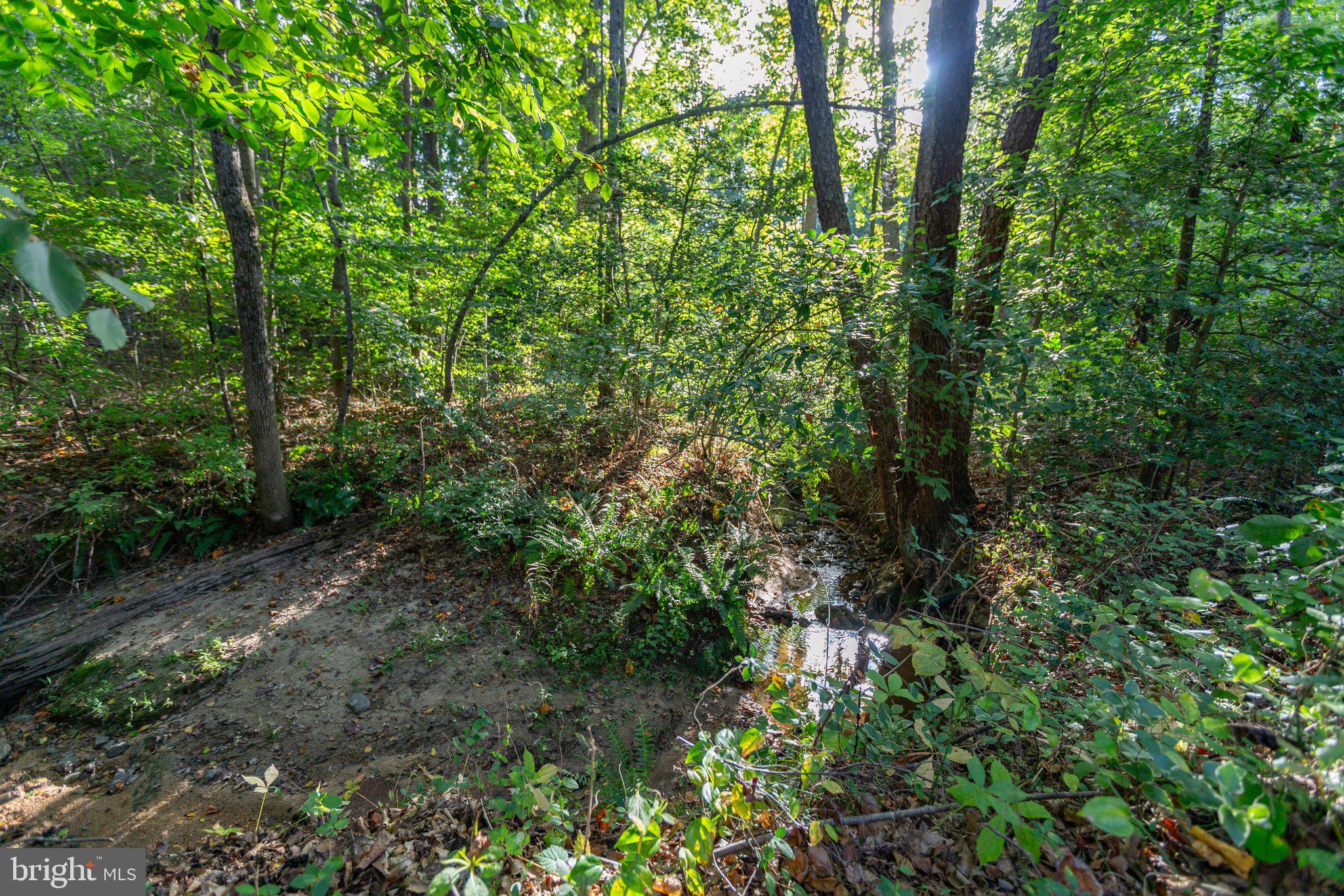 409 Crossing Road Fredericksburg, VA 22406 - Photo 41 of 43 A creek is found behind the property