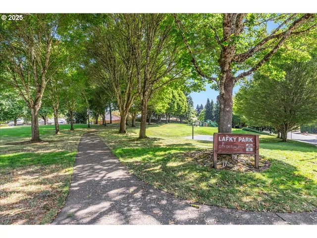 a view of a park with large trees
