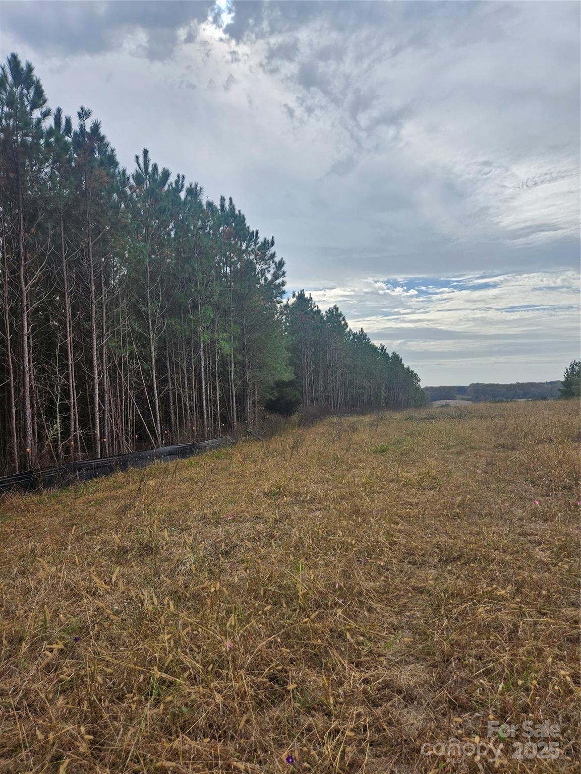 0 Ingold School Road Albemarle, NC 28001 - Photo 11 of 22 a view of yard with ocean view