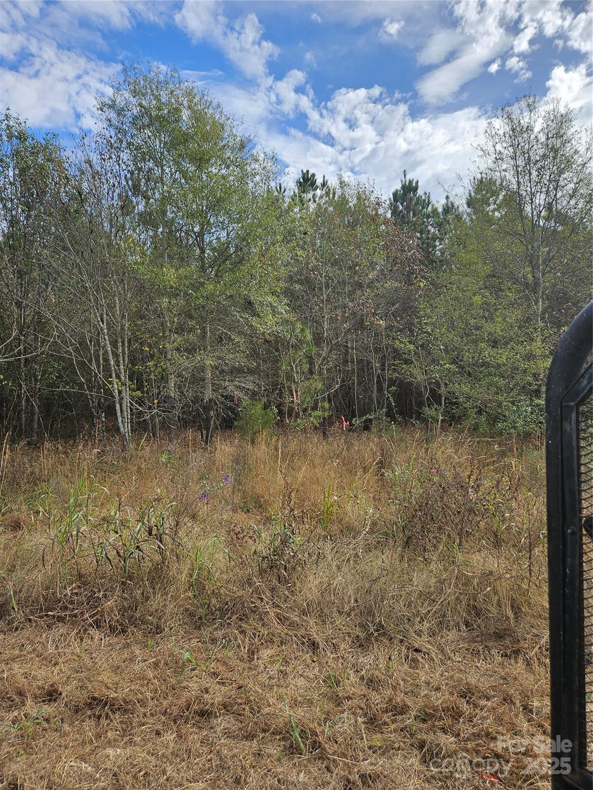 0 Ingold School Road Albemarle, NC 28001 - Photo 14 of 22 a view of a lake with a yard