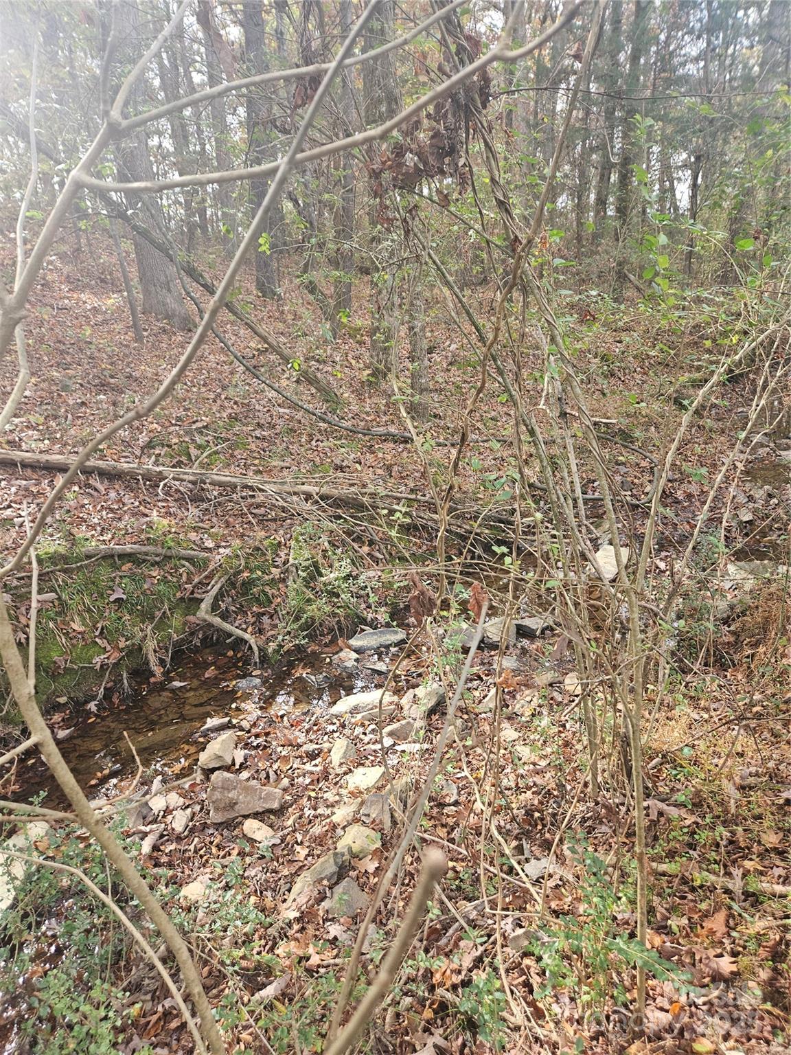 0 Ingold School Road Albemarle, NC 28001 - Photo 14 of 21 a bathroom with a shower