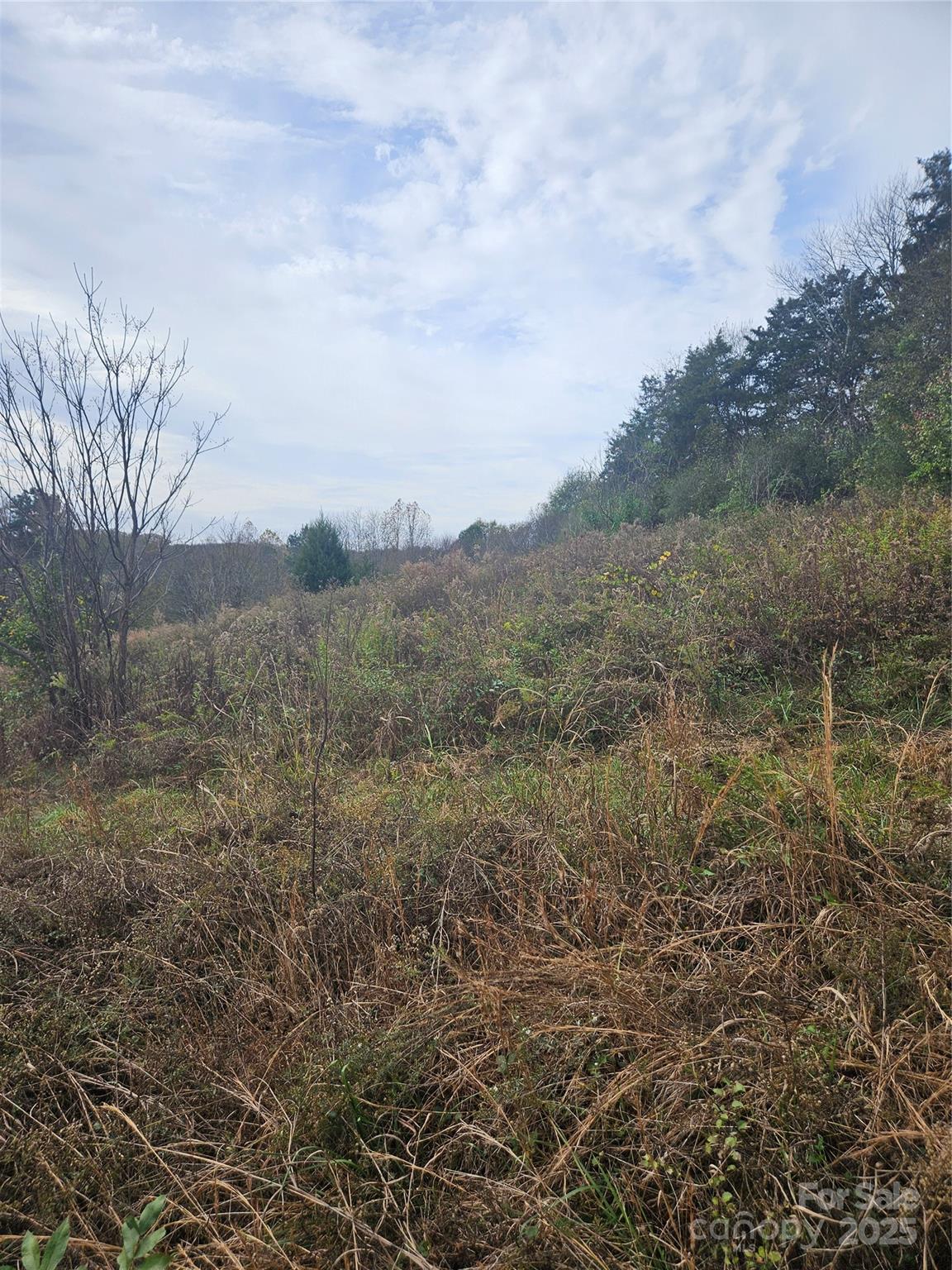 0 Ingold School Road Albemarle, NC 28001 - Photo 16 of 22 a view of a dry yard with trees