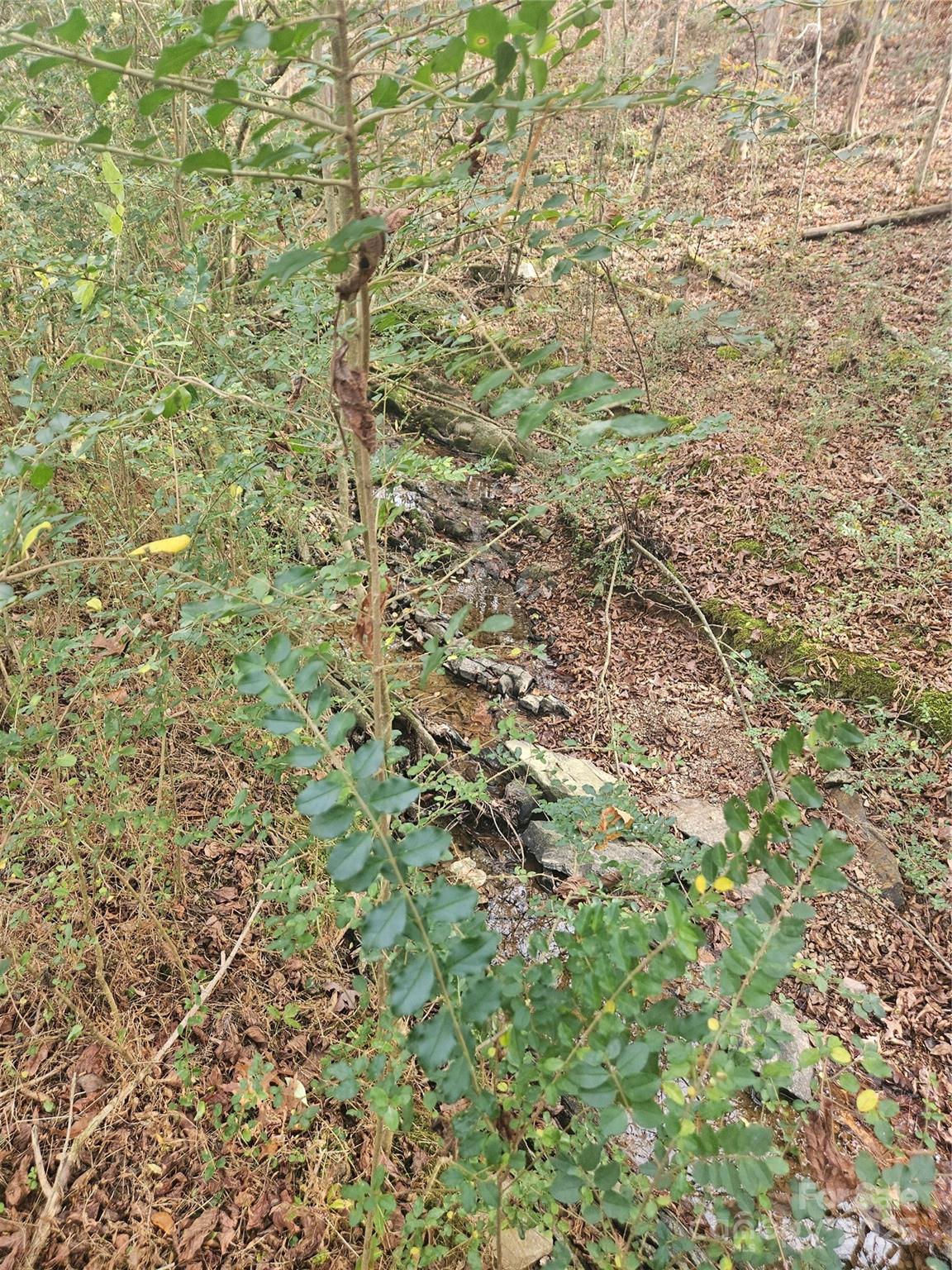 0 Ingold School Road Albemarle, NC 28001 - Photo 17 of 22 a view of a pathway