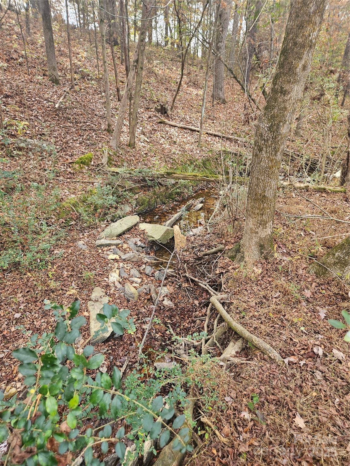 0 Ingold School Road Albemarle, NC 28001 - Photo 18 of 22 a view of a yard with plants and wooden fence