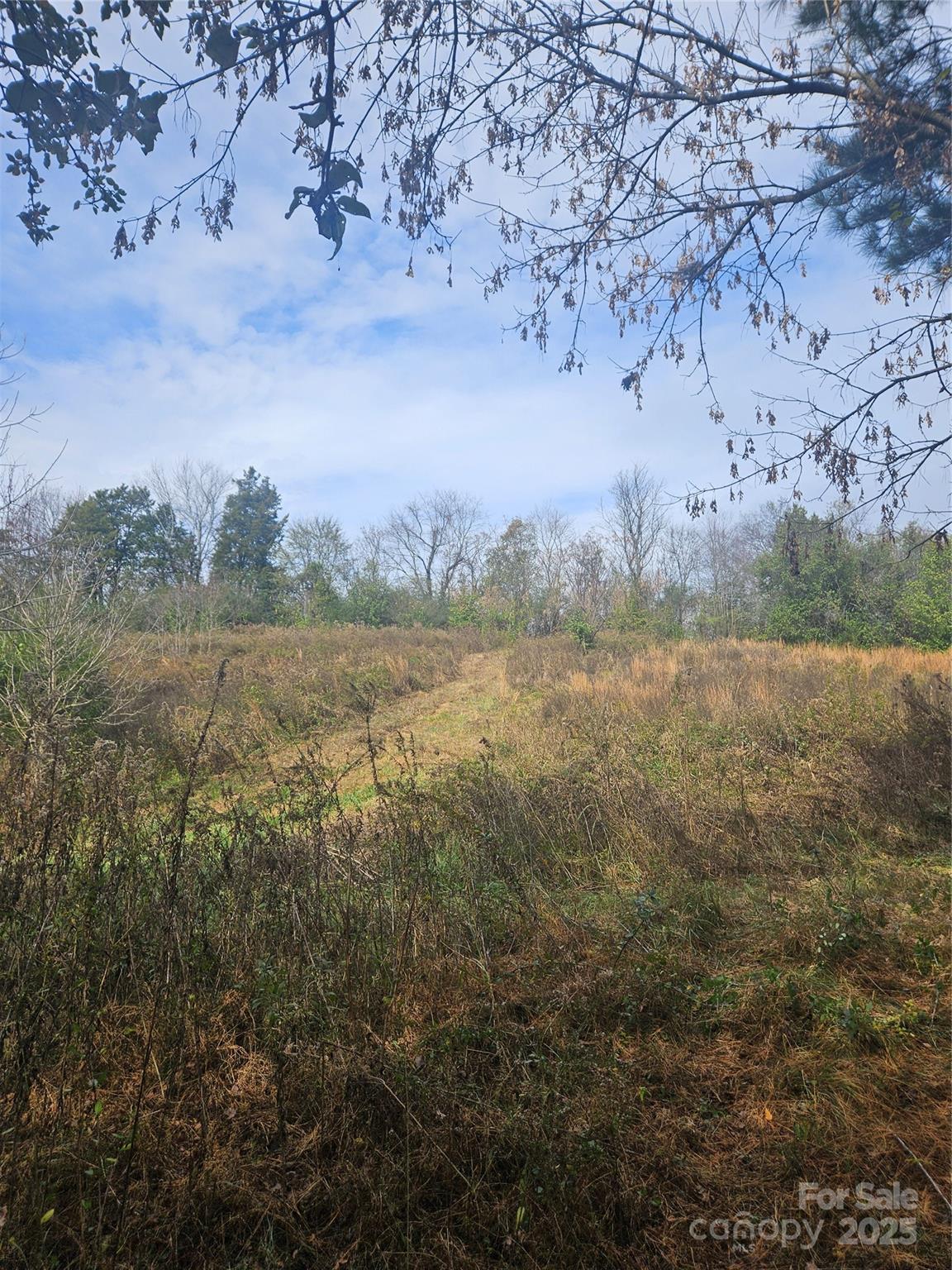 0 Ingold School Road Albemarle, NC 28001 - Photo 19 of 21 a view of a field with an ocean