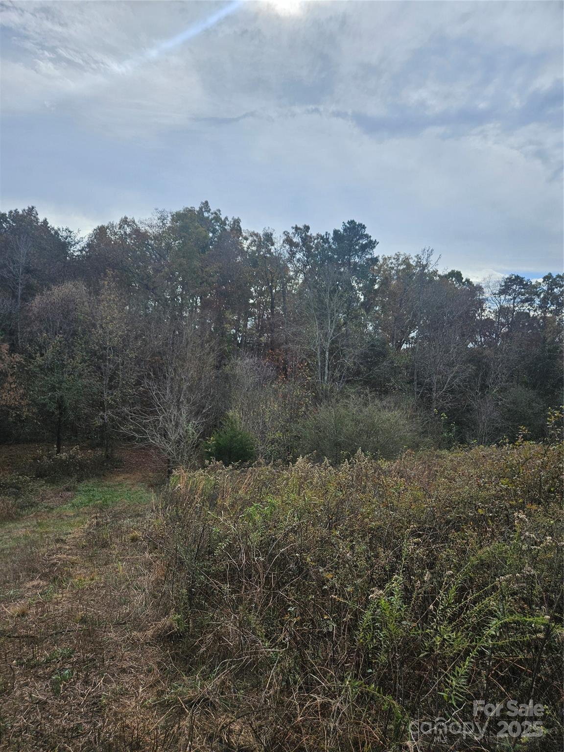 0 Ingold School Road Albemarle, NC 28001 - Photo 19 of 22 a view of a dry yard