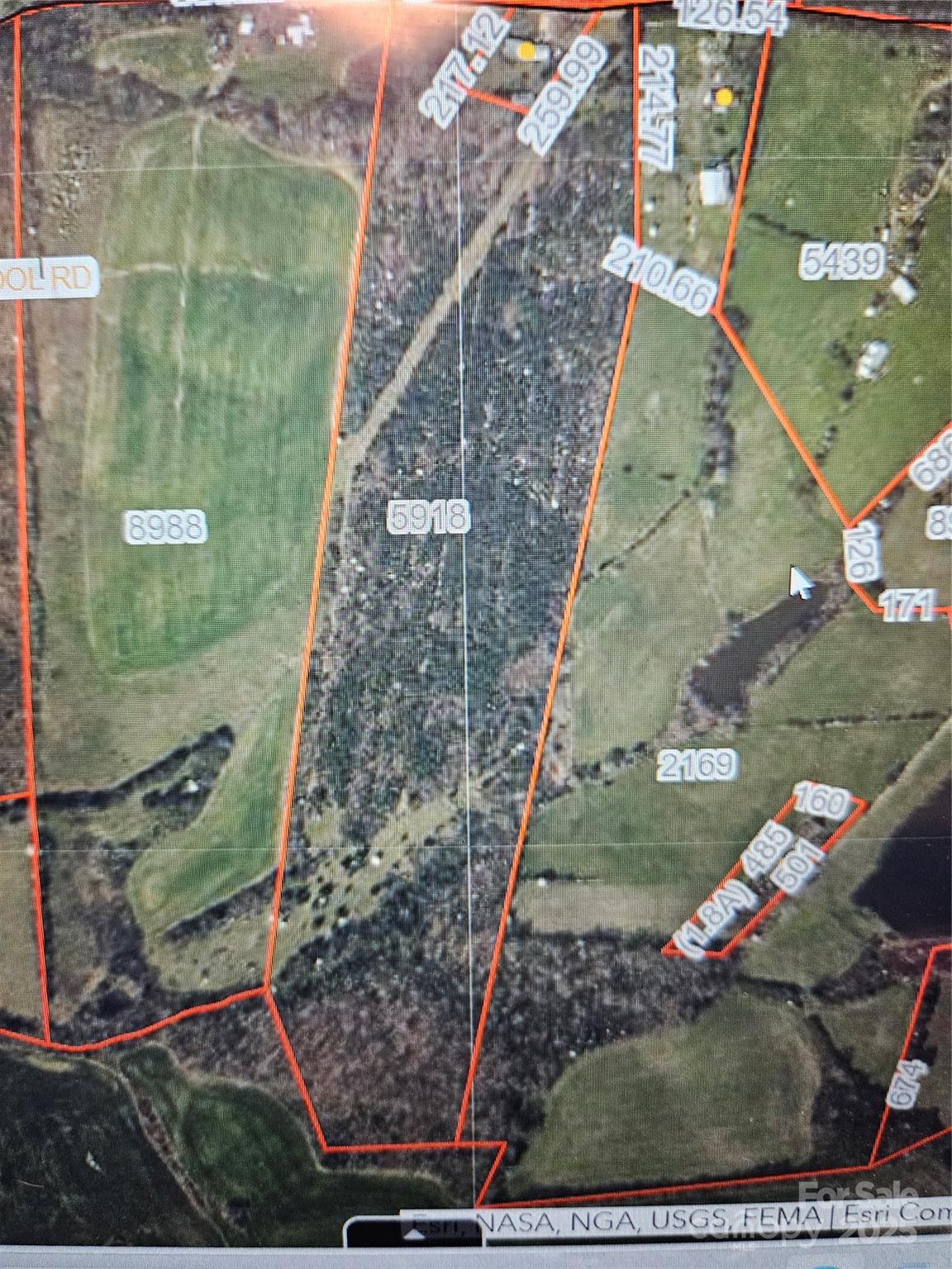 0 Ingold School Road Albemarle, NC 28001 - Photo 4 of 22 a bird sitting on top of a wooden floor