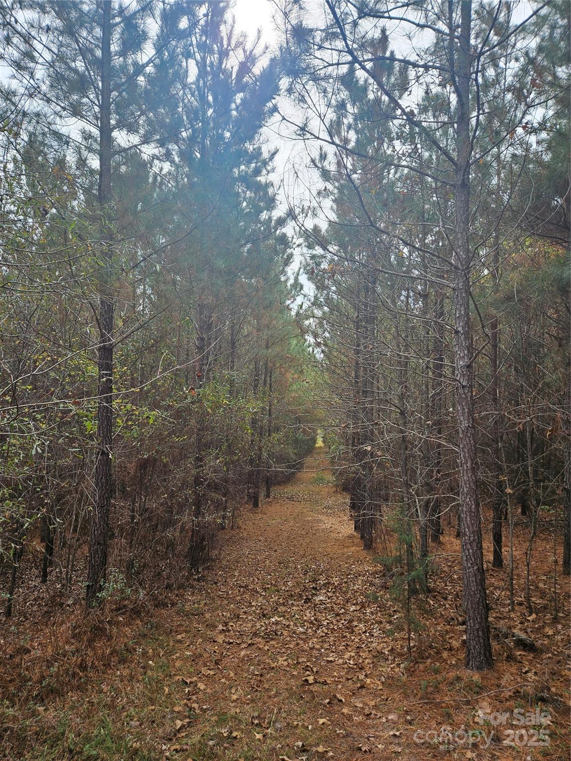 0 Ingold School Road Albemarle, NC 28001 - Photo 5 of 21 a backyard of a house with lots of green space