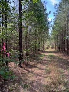 0 Ingold School Road Albemarle, NC 28001 - Photo 7 of 22 a view of street with trees