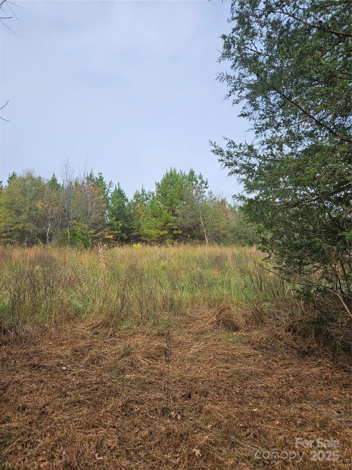 0 Ingold School Road Albemarle, NC 28001 - Photo 9 of 22 a view of lake with green space