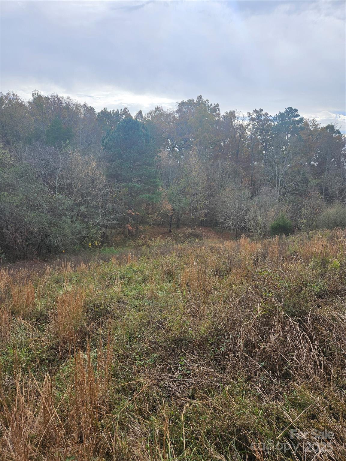 0 Ingold School Road Albemarle, NC 28001 - Photo 10 of 21 a view of a yard with trees in the background