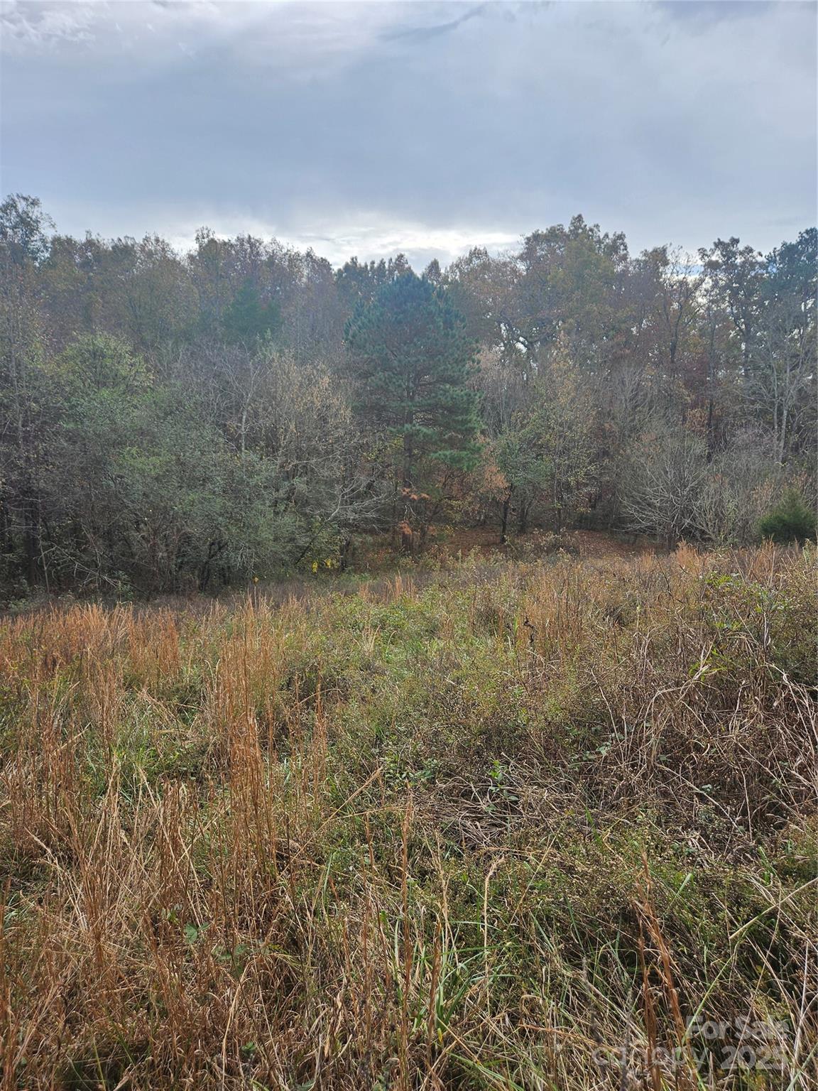 0 Ingold School Road Albemarle, NC 28001 - Photo 10 of 22 a view of a yard with trees in the background