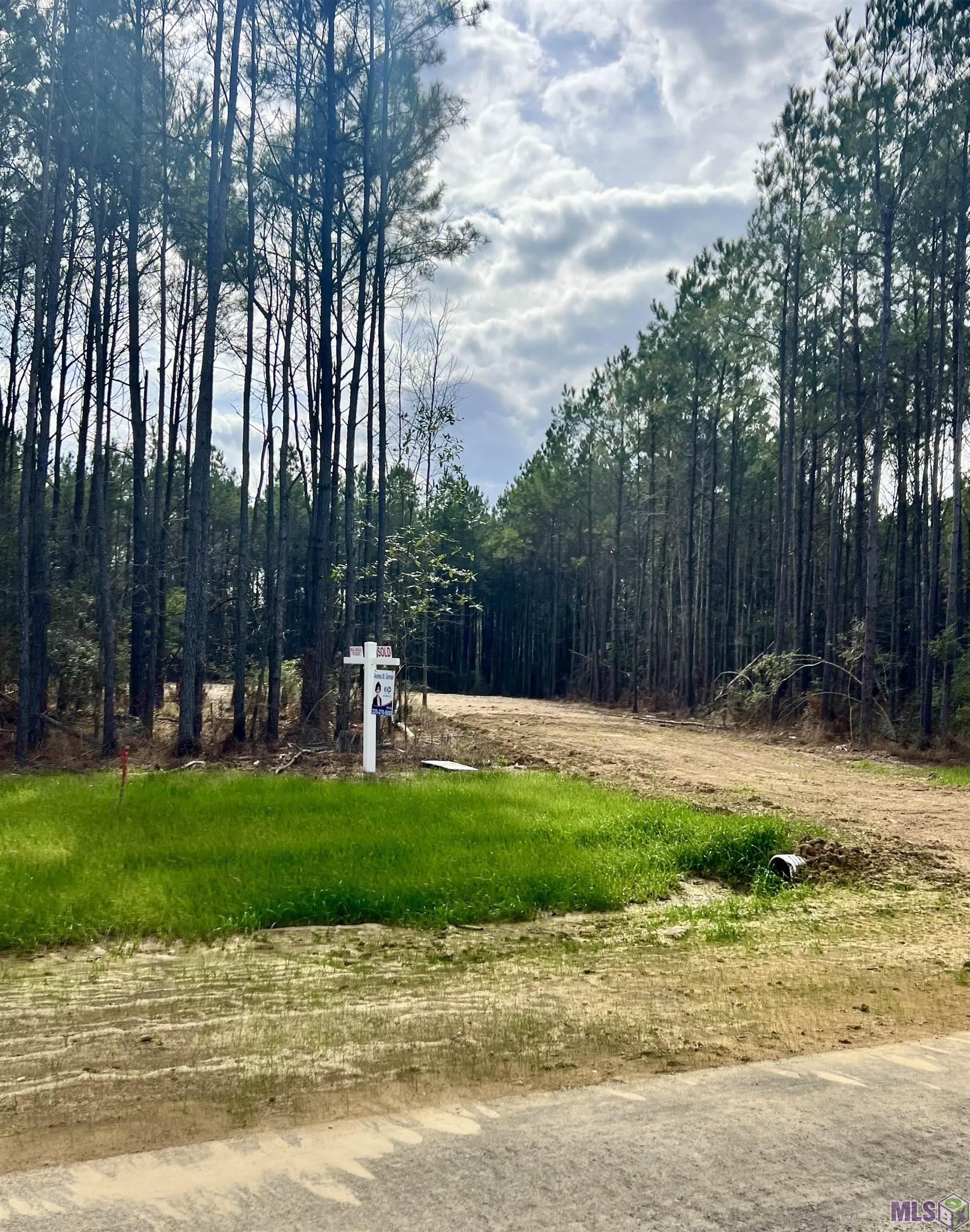 Lot 32 Copper Pass Livingston, LA 70754 - Photo 11 of 18