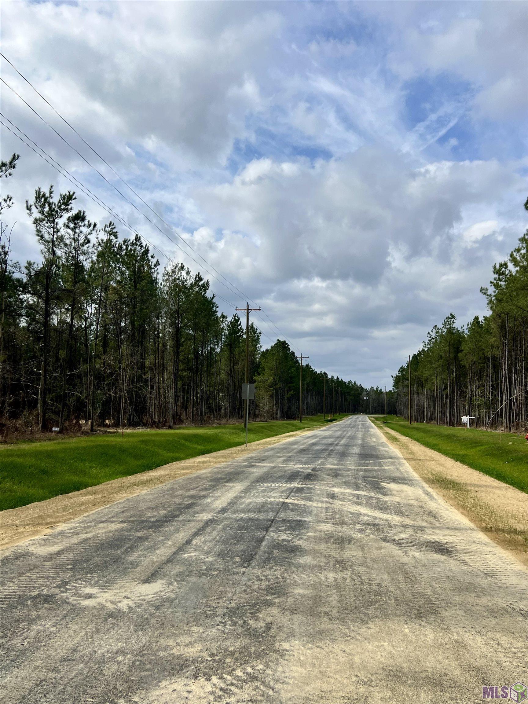 Lot 32 Copper Pass Livingston, LA 70754 - Photo 12 of 18