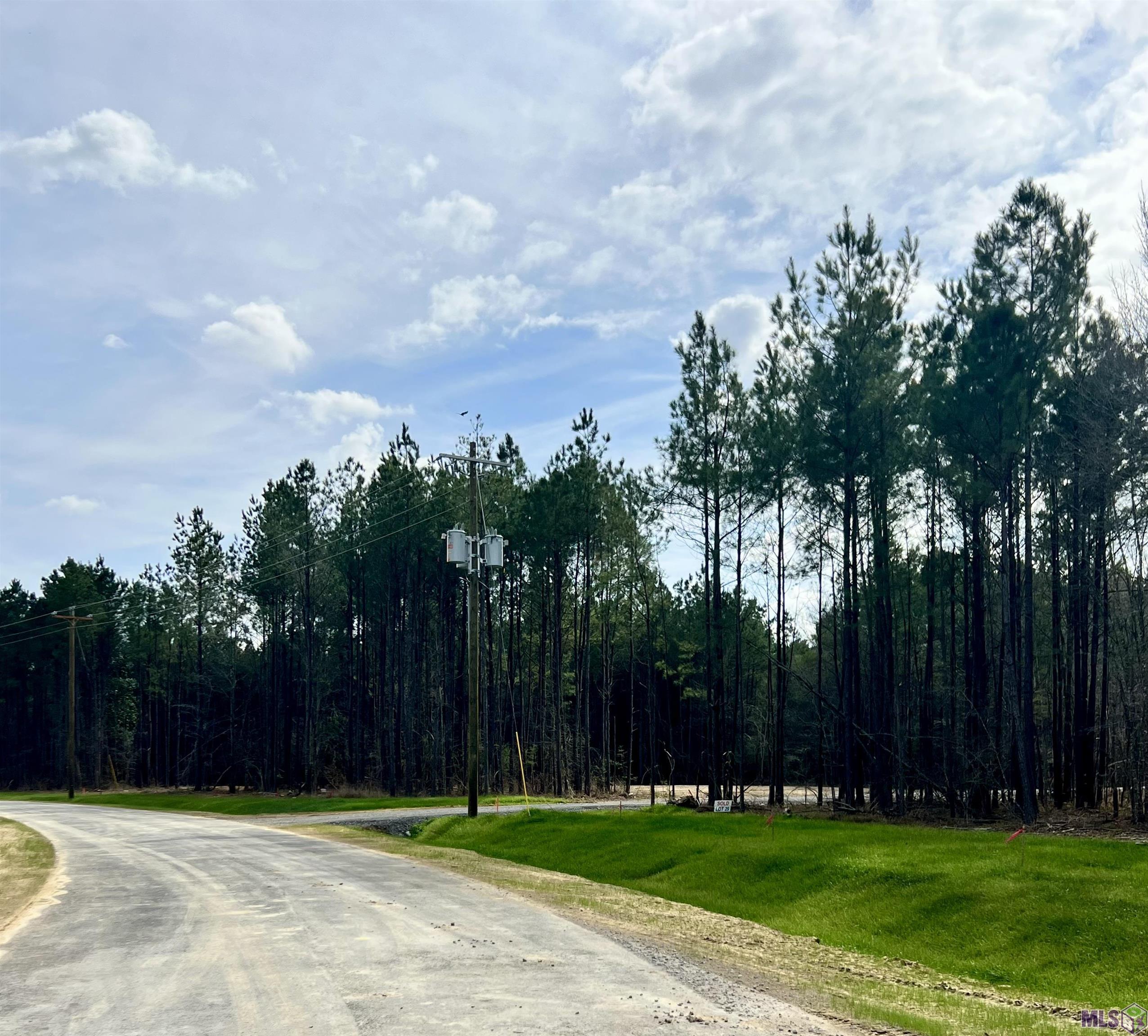 Lot 32 Copper Pass Livingston, LA 70754 - Photo 15 of 18