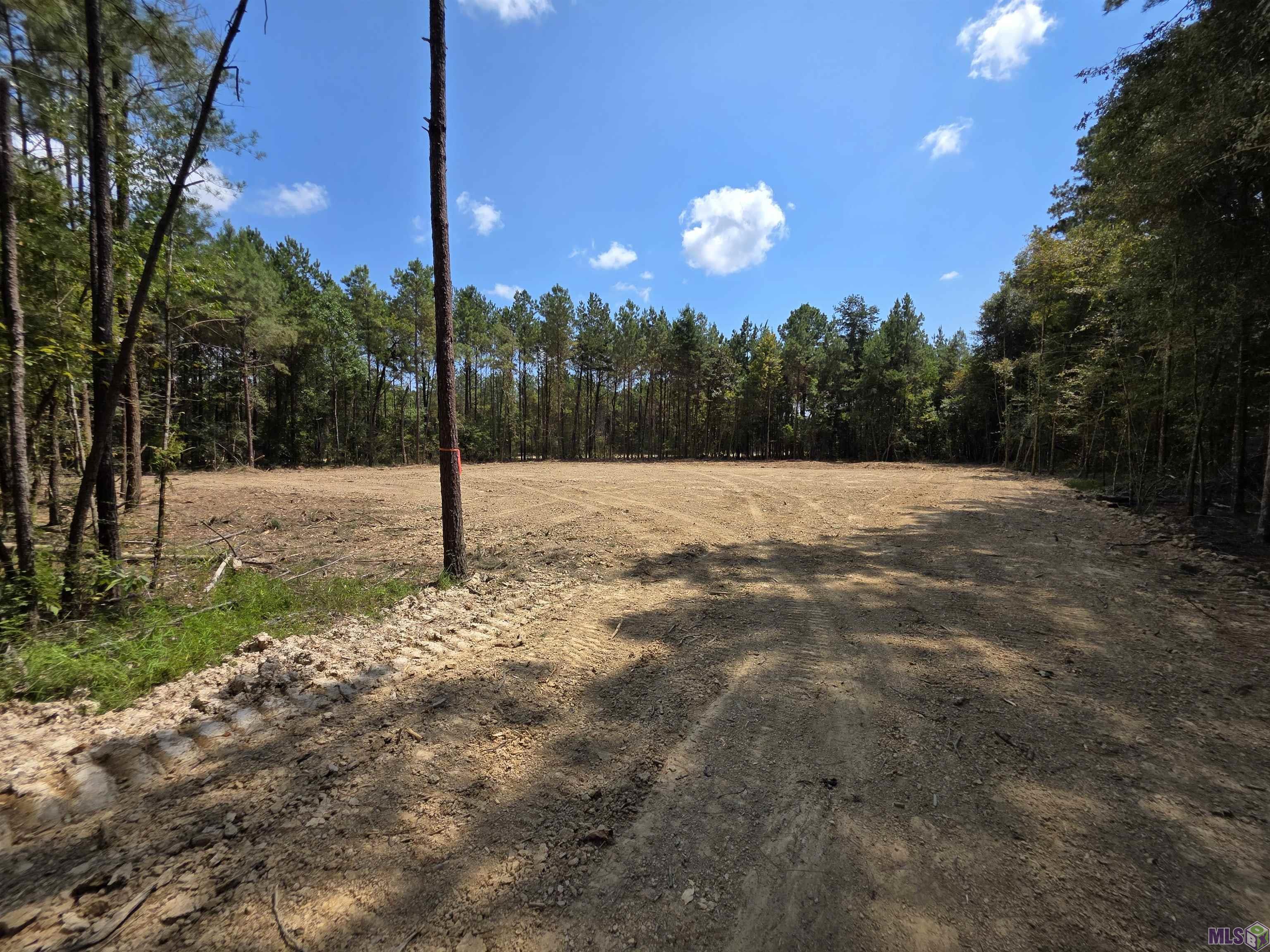 Lot 32 Copper Pass Livingston, LA 70754 - Photo 2 of 15