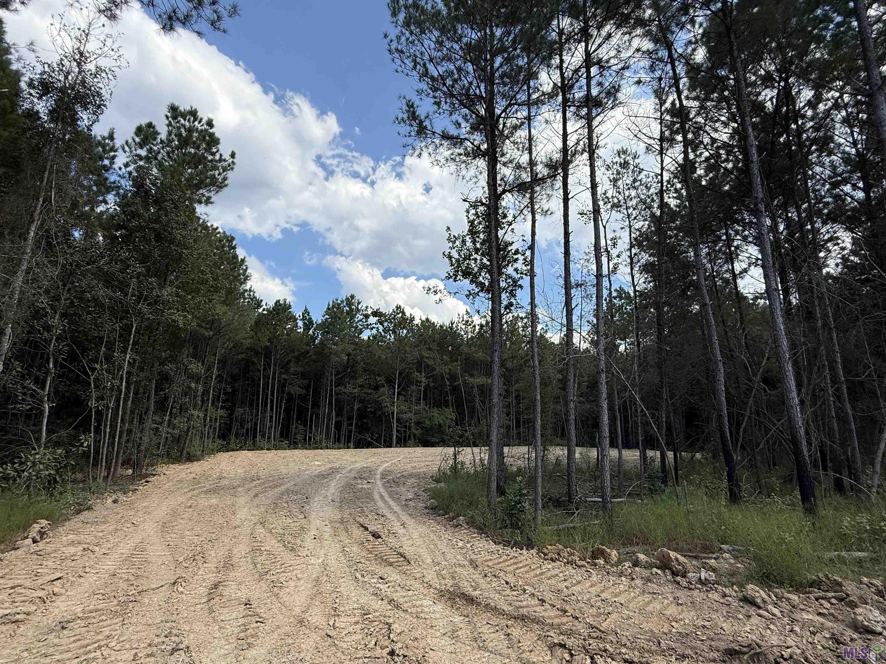 Lot 32 Copper Pass Livingston, LA 70754 - Photo 7 of 15