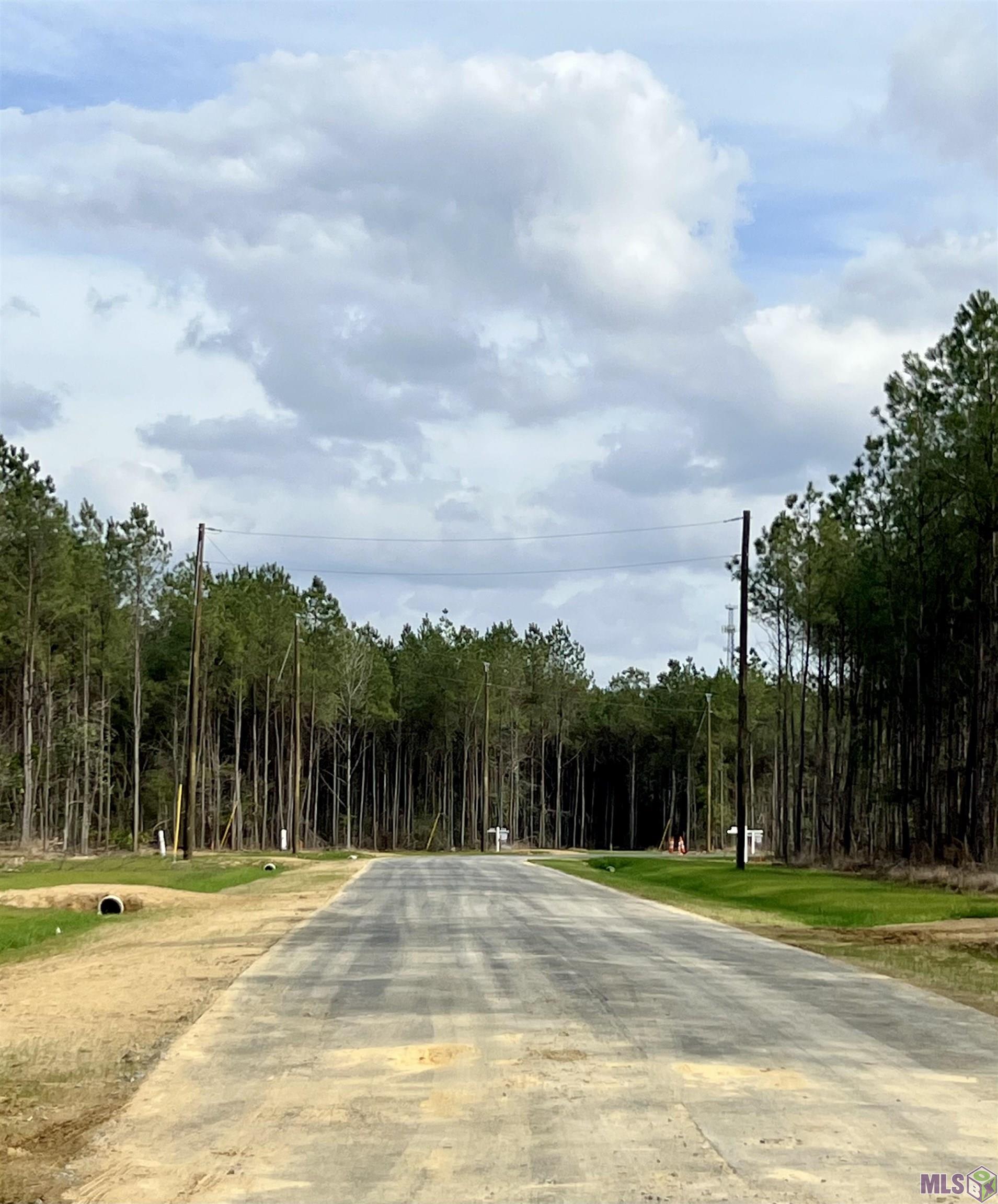 Lot 32 Copper Pass Livingston, LA 70754 - Photo 8 of 18