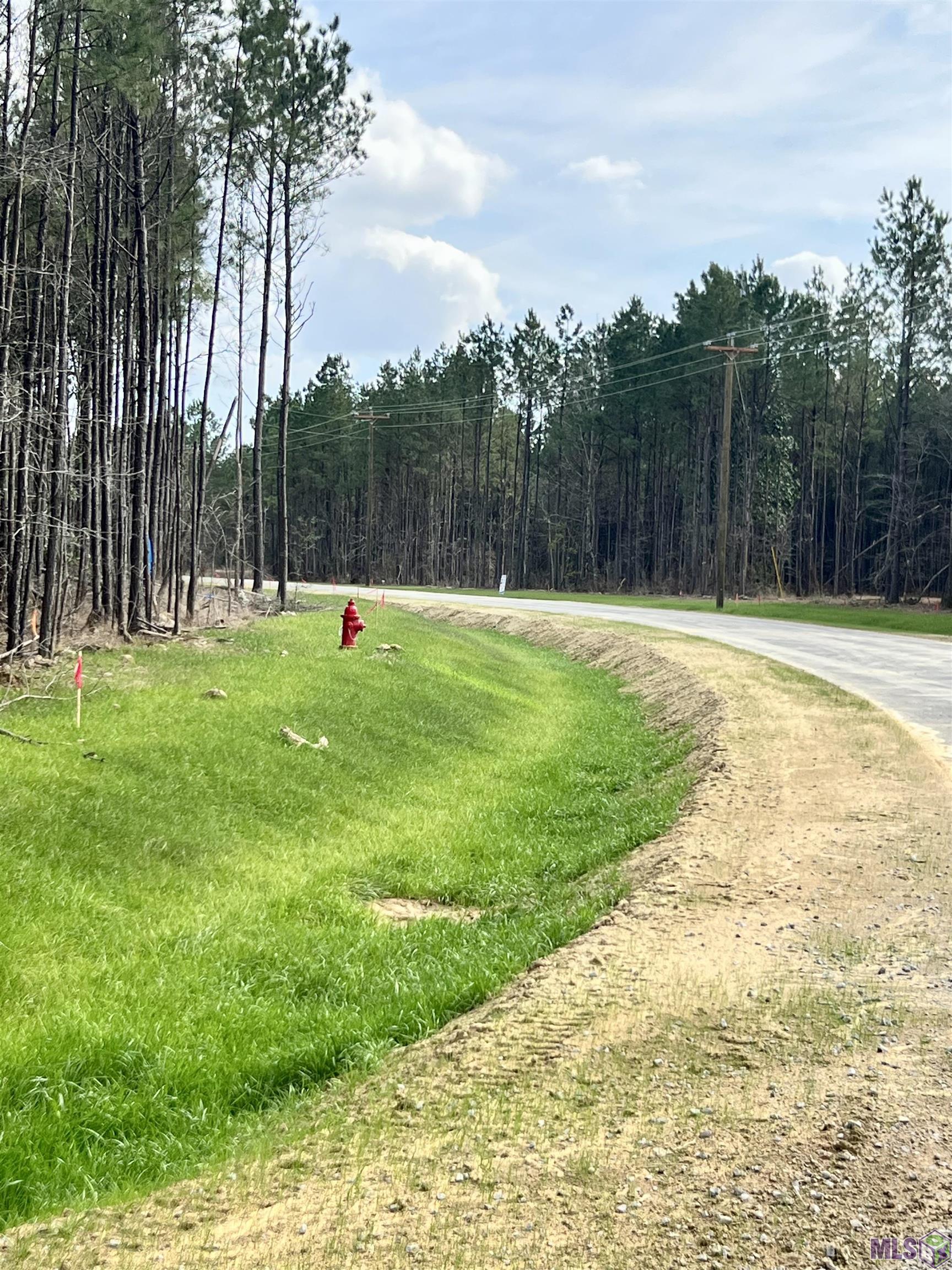 Lot 32 Copper Pass Livingston, LA 70754 - Photo 10 of 18