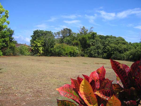 290 Eggerking Road Kapaa, HI 96746 - Photo 1 of 4 Gallery Image 1