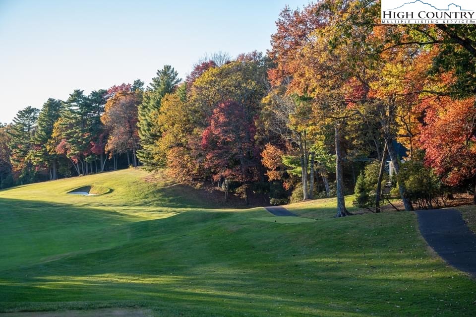 124 Meadow View Road Glade Valley, NC 28627 - Photo 24 of 26 Gallery Image 24