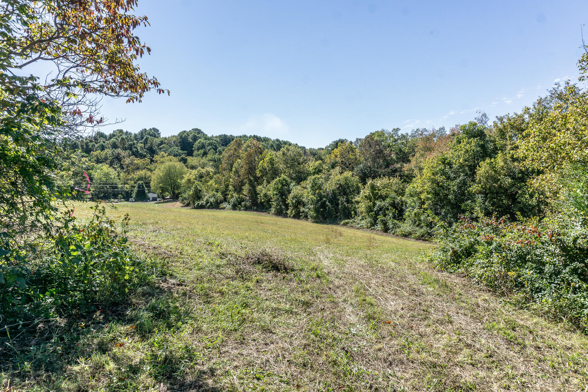 0 Rheatown Road, Unit 1 Chuckey, TN 37641 - Photo 12 of 56 RheatownG_006