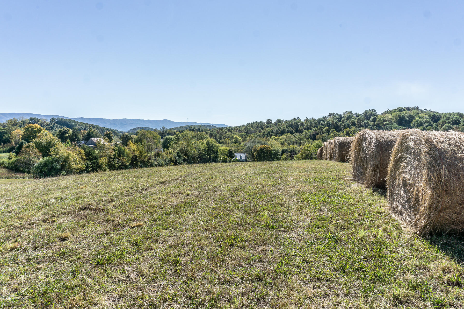 0 Rheatown Road, Unit 1 Chuckey, TN 37641 - Photo 15 of 56 RheatownG_009
