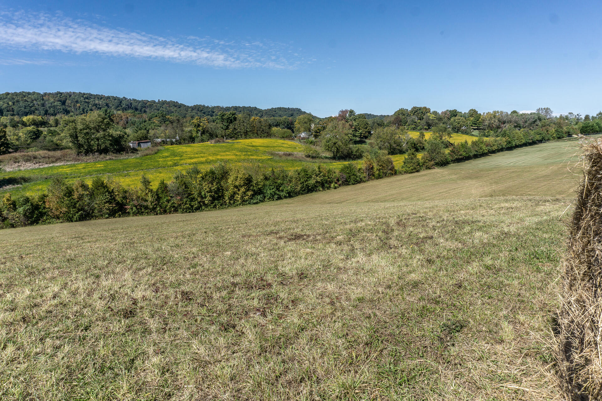 0 Rheatown Road, Unit 1 Chuckey, TN 37641 - Photo 16 of 56 RheatownG_010