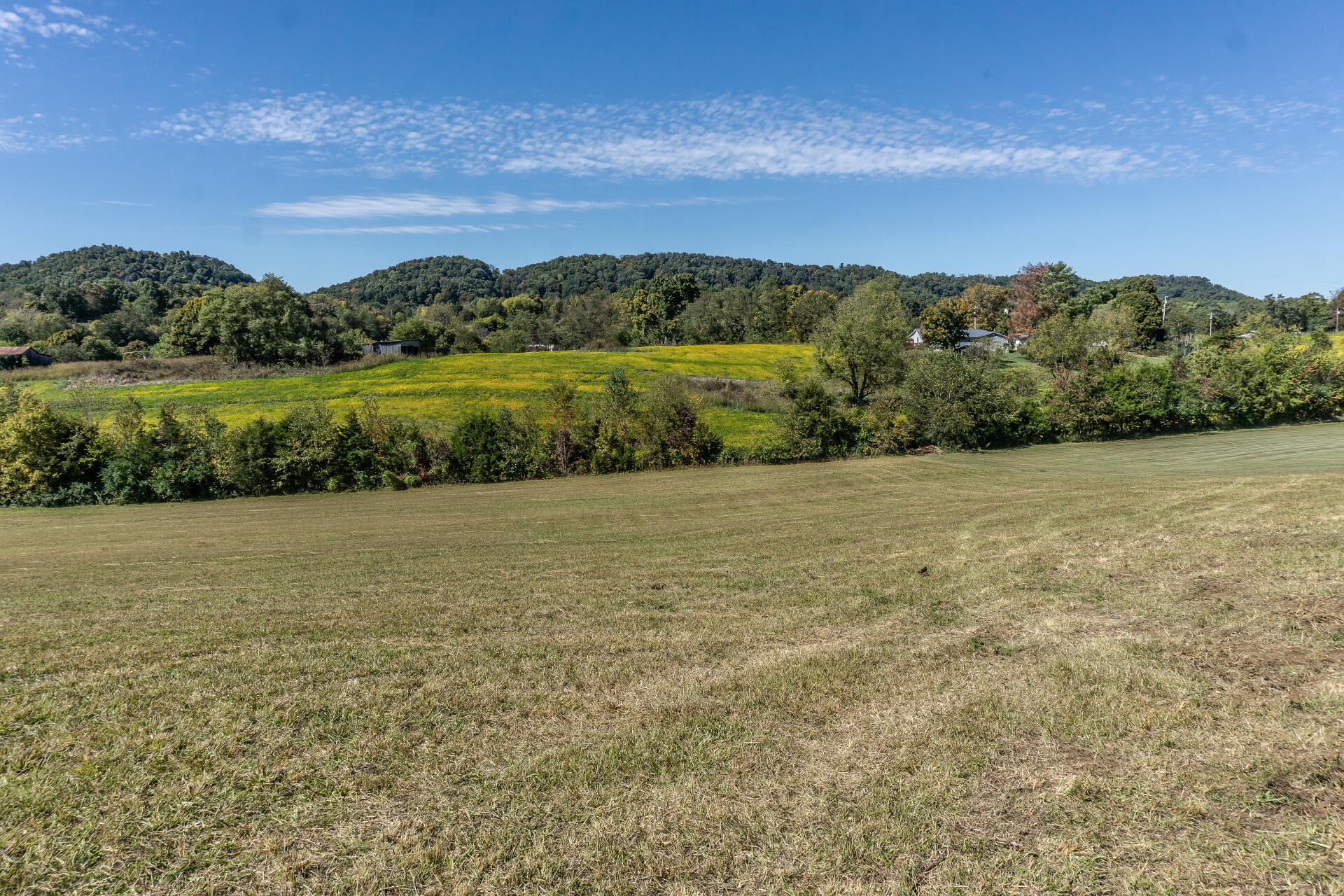 0 Rheatown Road, Unit 1 Chuckey, TN 37641 - Photo 20 of 56 RheatownG_015
