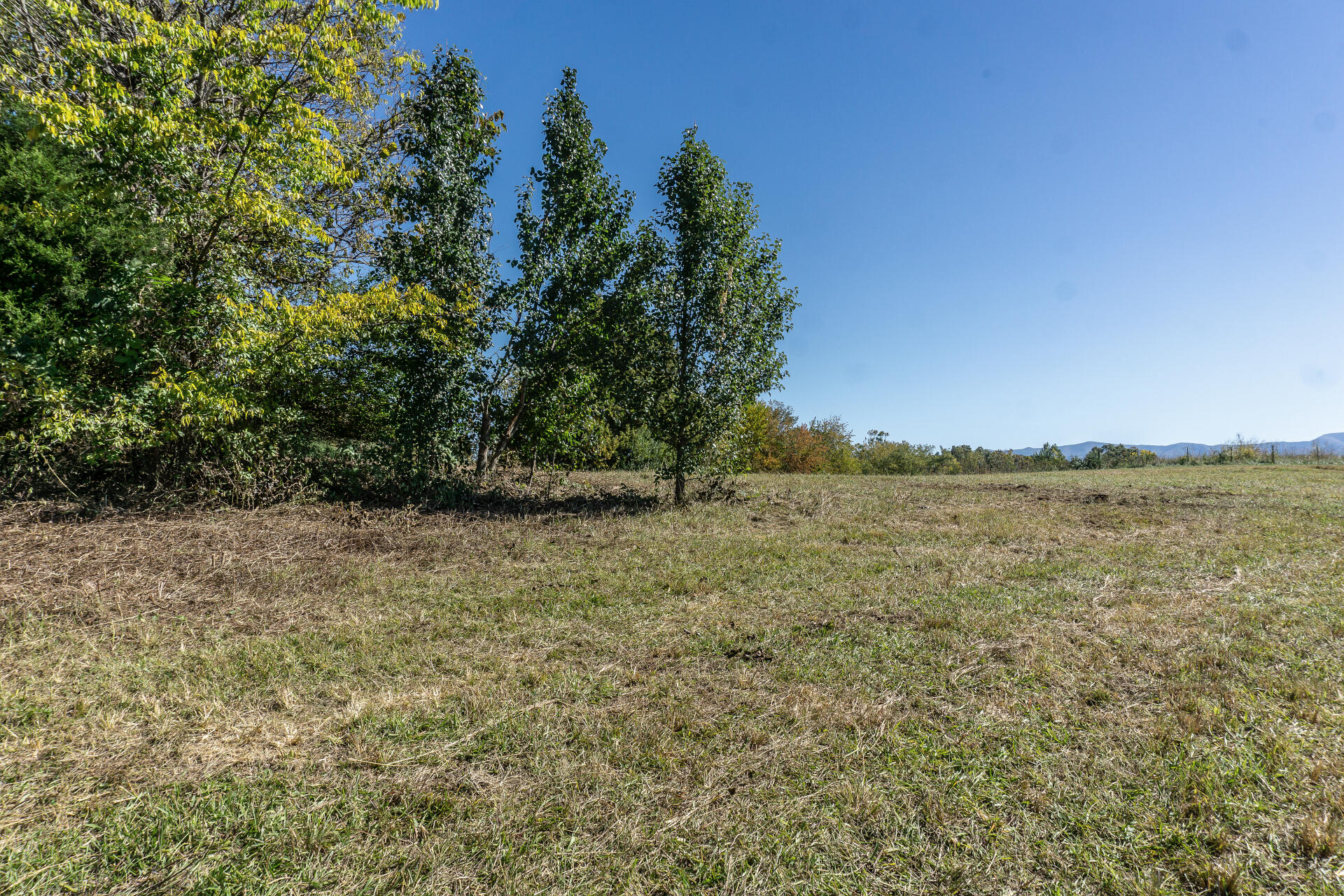 0 Rheatown Road, Unit 1 Chuckey, TN 37641 - Photo 22 of 56 RheatownG_018