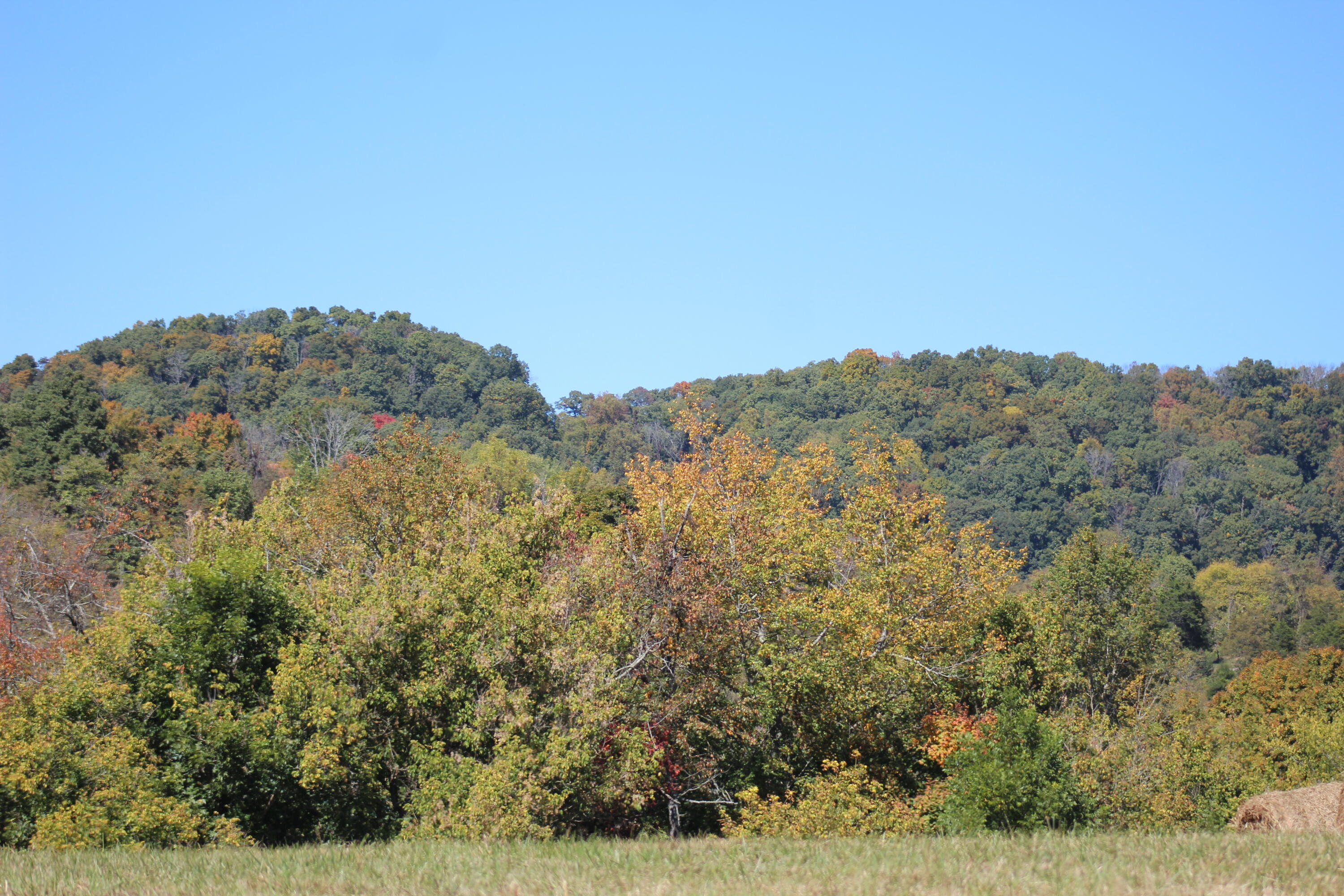 0 Rheatown Road, Unit 1 Chuckey, TN 37641 - Photo 56 of 56 IMG_5100