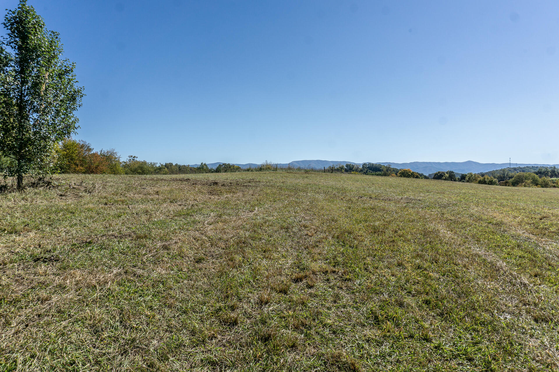 0 Rheatown Road, Unit 1 Chuckey, TN 37641 - Photo 6 of 56 RheatownG_017