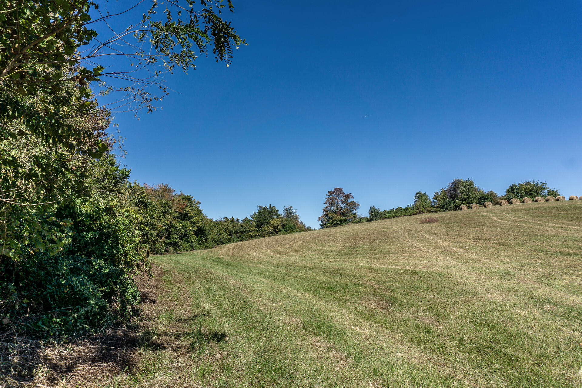 0 Rheatown Road, Unit 1 Chuckey, TN 37641 - Photo 9 of 56 RheatownG_002