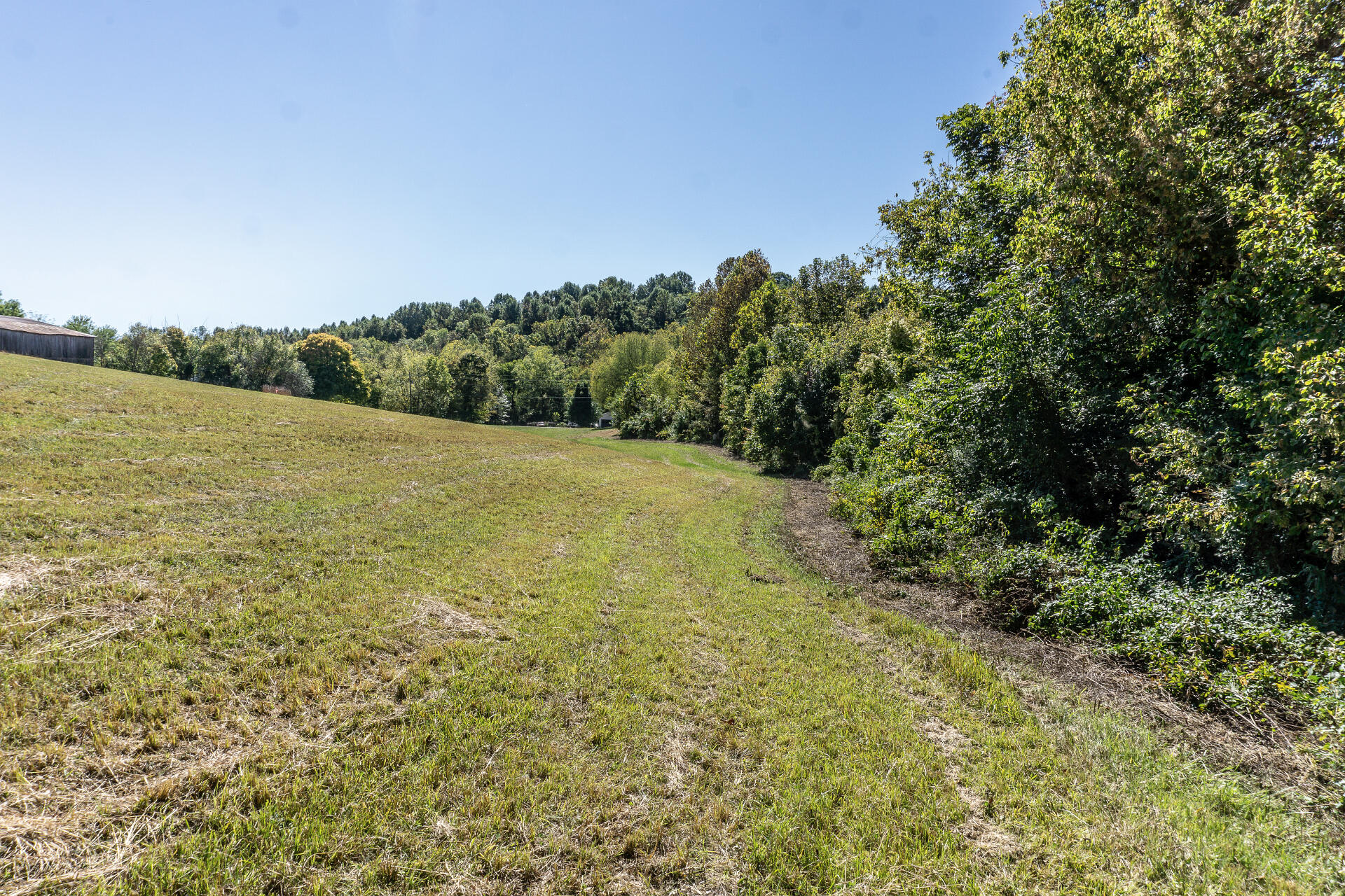 0 Rheatown Road, Unit 1 Chuckey, TN 37641 - Photo 10 of 56 RheatownG_003
