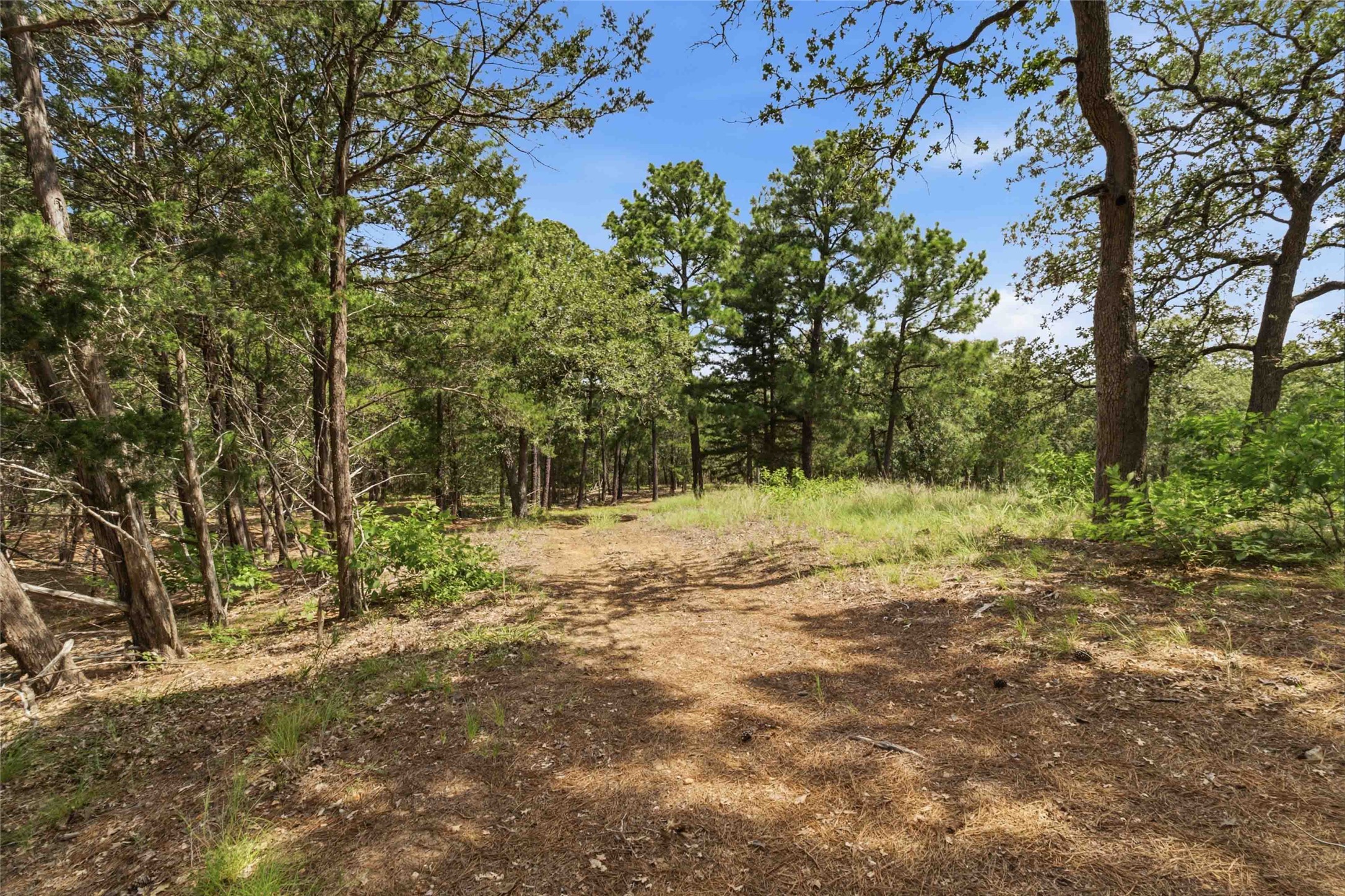 7921 Vista Ranch Road Smithville, TX 78957 - Photo 31 of 39 Discover a tranquil, wooded oasis with a sun-dappled path leading to a peaceful clearing.