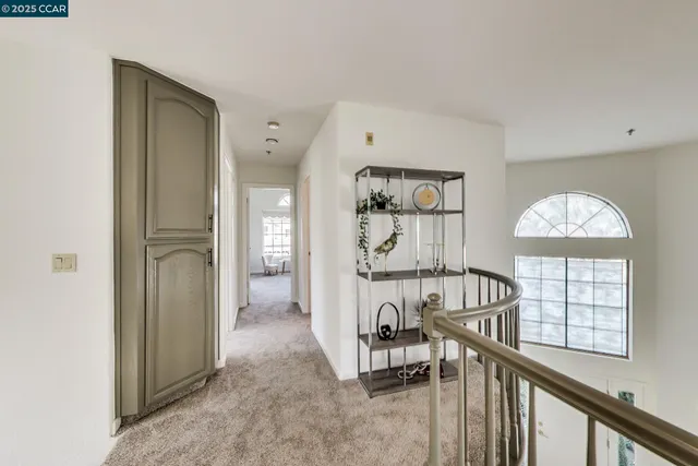 a bedroom with a large bed and a potted plant