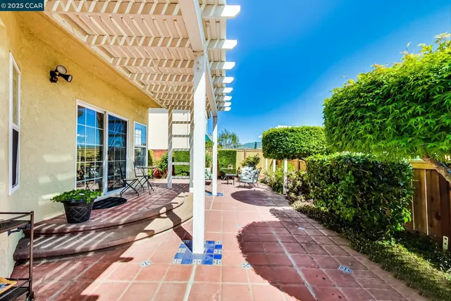 a view of a pathway with plants