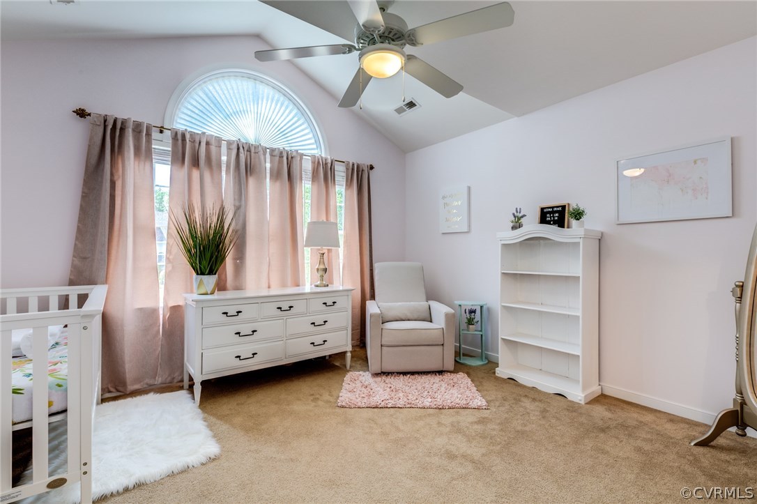 8801 Bailey Creek Road Midlothian, VA 23112 - Photo 22 of 36 Gallery Image 22