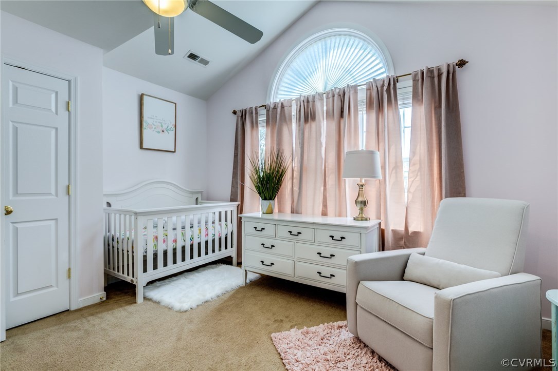 8801 Bailey Creek Road Midlothian, VA 23112 - Photo 23 of 36 Gallery Image 23