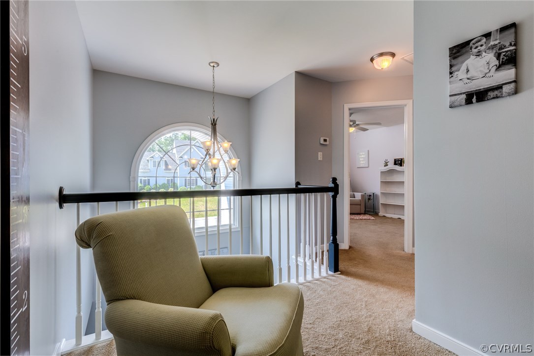 8801 Bailey Creek Road Midlothian, VA 23112 - Photo 26 of 36 Gallery Image 26