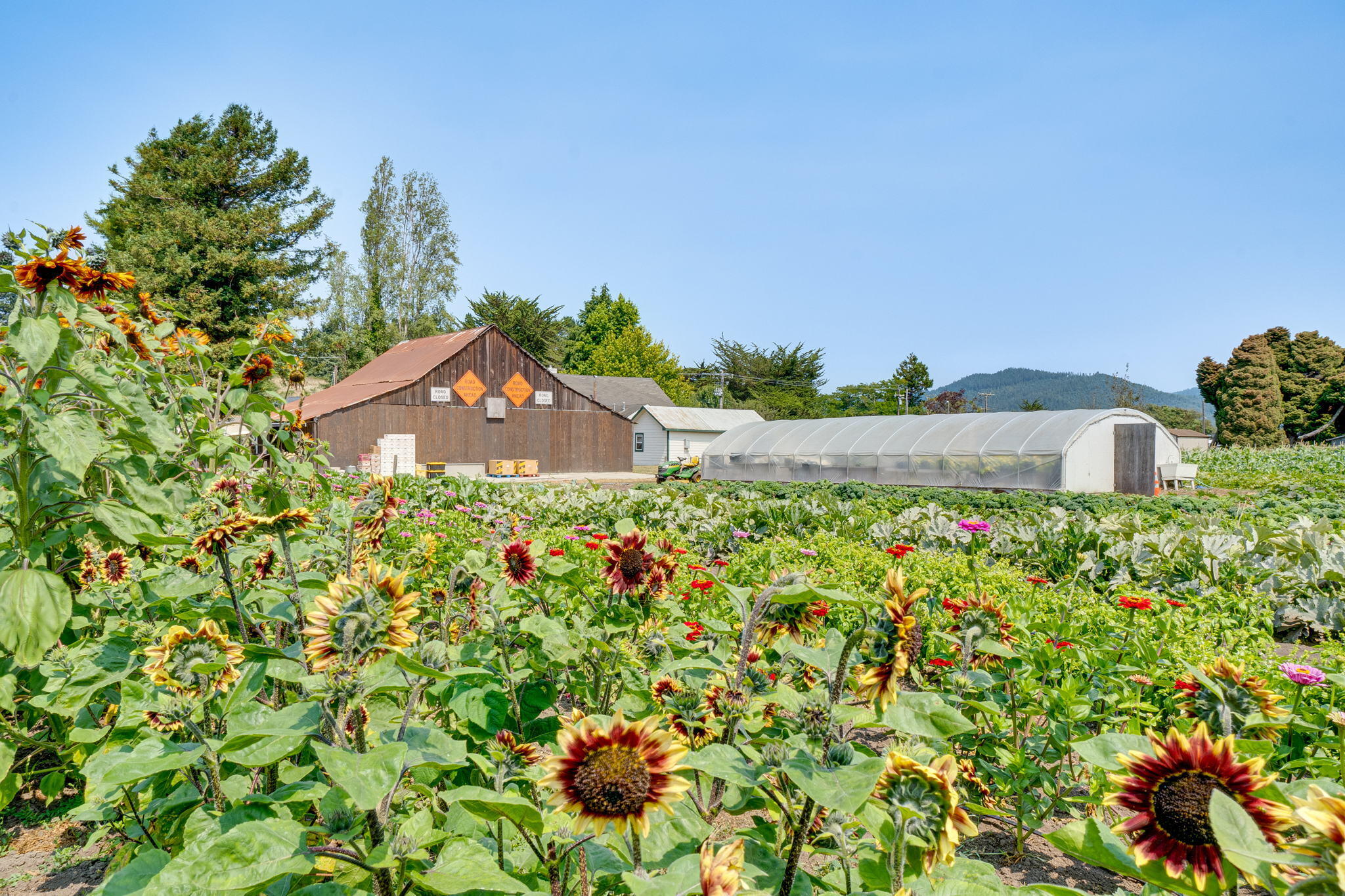 6786 Rohnerville Road Hydesville, CA 95547 - Photo 65 of 72 65-web-or-mls-120