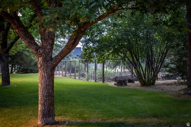 435 Canyon Road Millville, UT 84326 - Photo 82 of 113 Expansive backyard featuring a manicured lawn, established trees, and a fenced garden area with raised beds