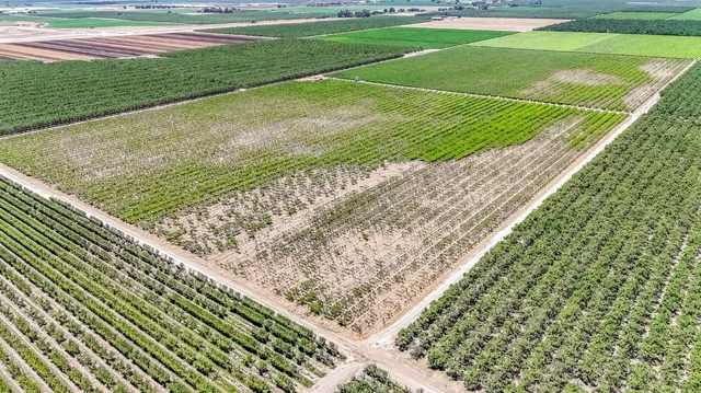 $1,520,000 | 1 Davis, Laton, CA 93242